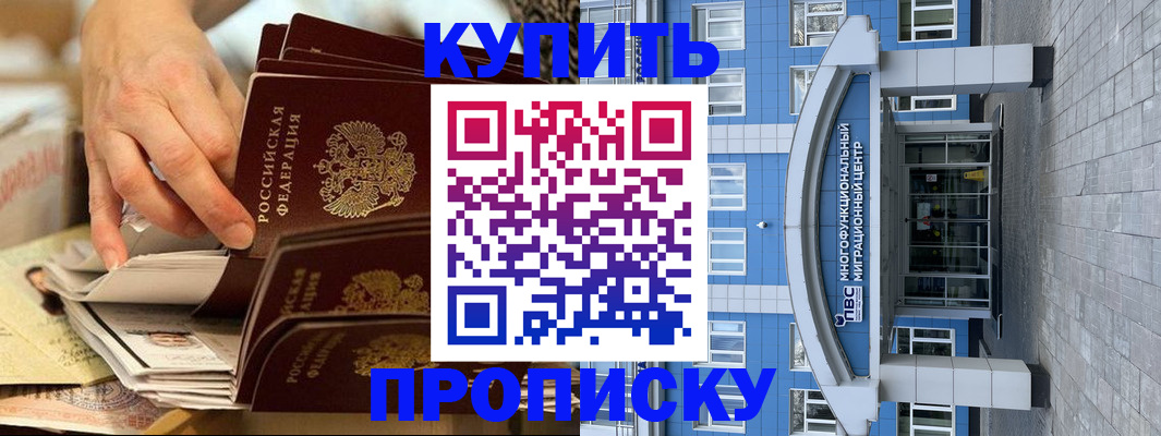 прописка гарантия в Кингисеппе